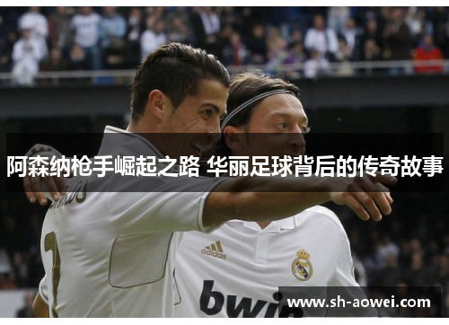 阿森纳枪手崛起之路 华丽足球背后的传奇故事